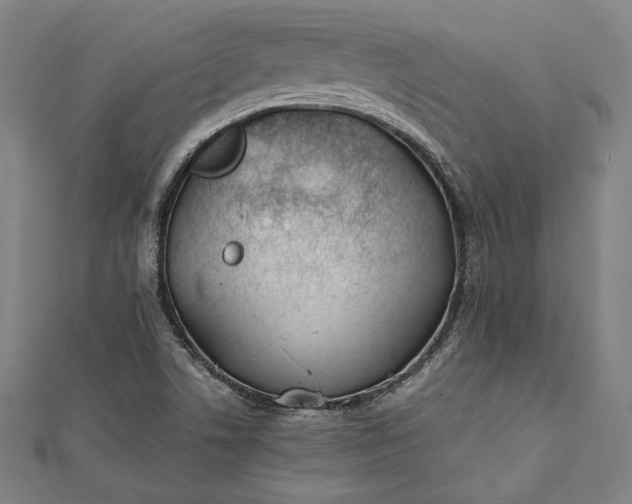 X0000112171506200908211415