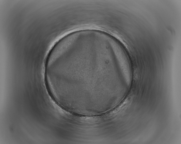 X0000112171508200908211415