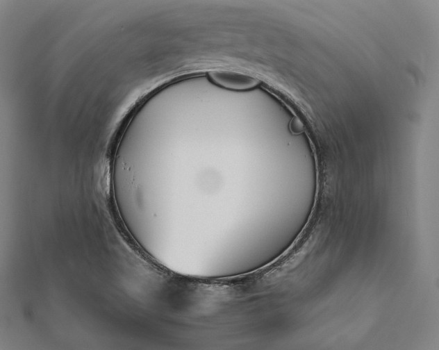 X0000112171509200908211415