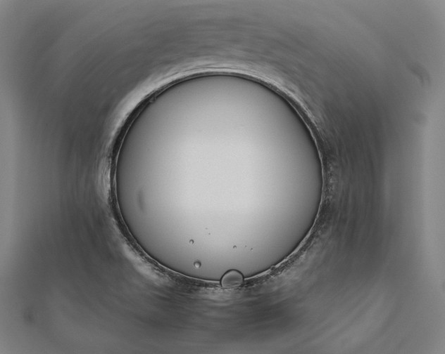 X0000112171511200908211415