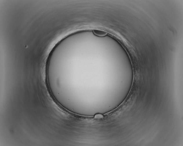 X0000112171512200908211415