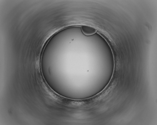 X0000112171513200908211415