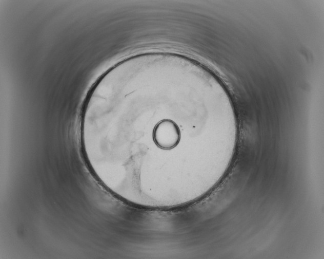 X0000112171514200908211415