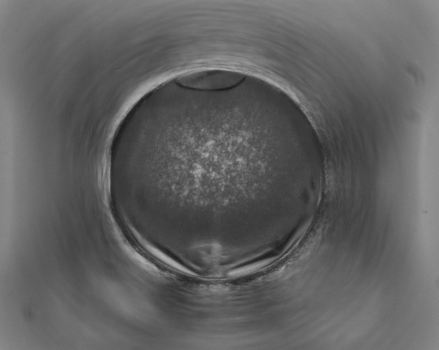 X0000112171515200908211415