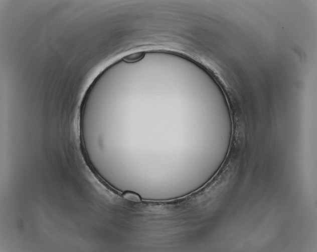 X0000112171516200908211415