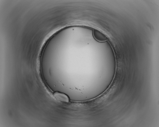 X0000112171517200908211415