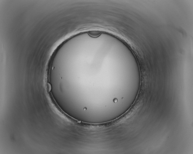 X0000112171518200908211415