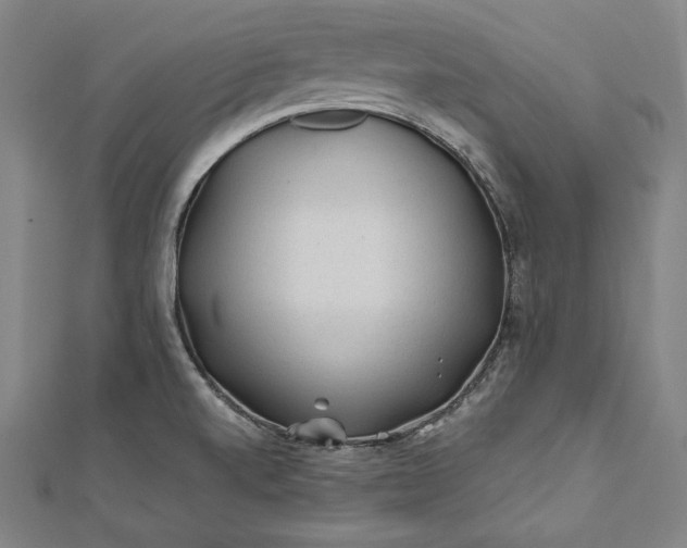 X0000112171520200908211415