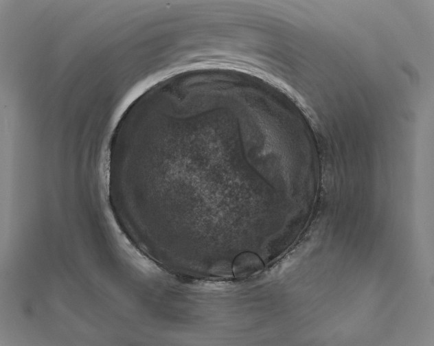 X0000112171522200908211415