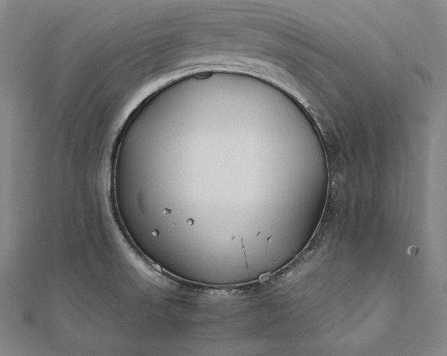 X0000112171523200908211415