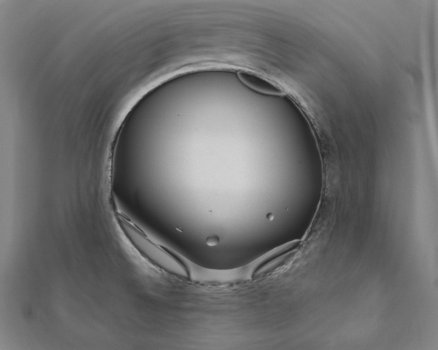 X0000112171524200908211415