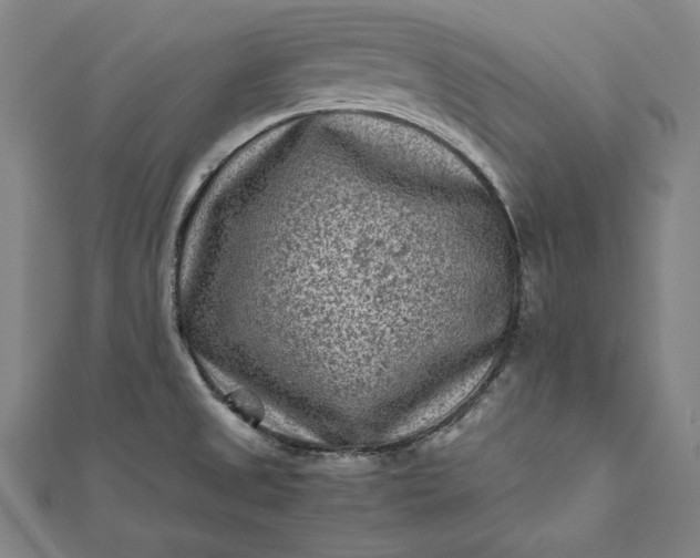 X0000112171525200908211415