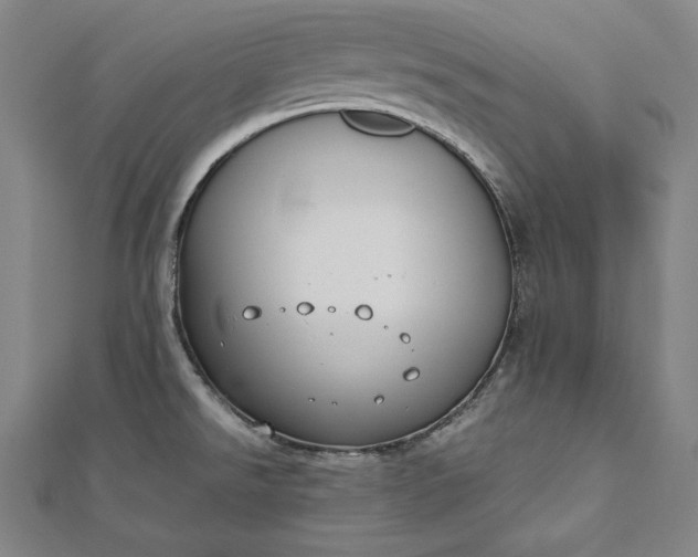 X0000112171526200908211415