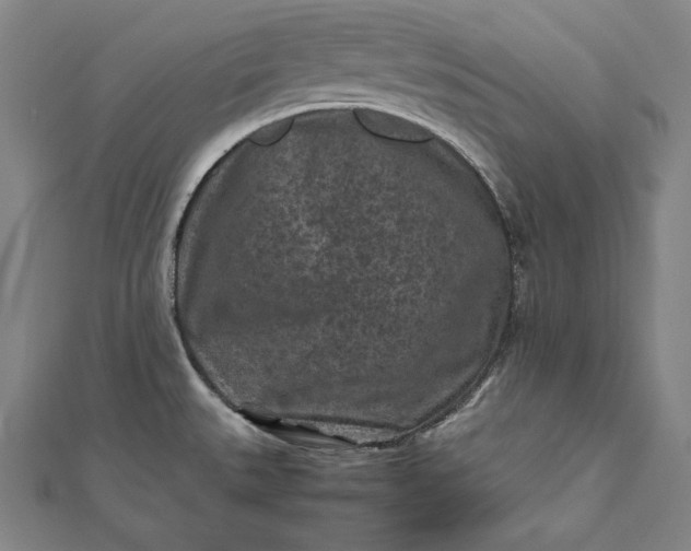 X0000112171527200908211415