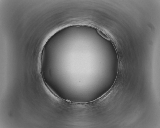 X0000112171528200908211415