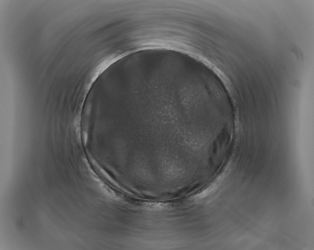 X0000112171529200908211415