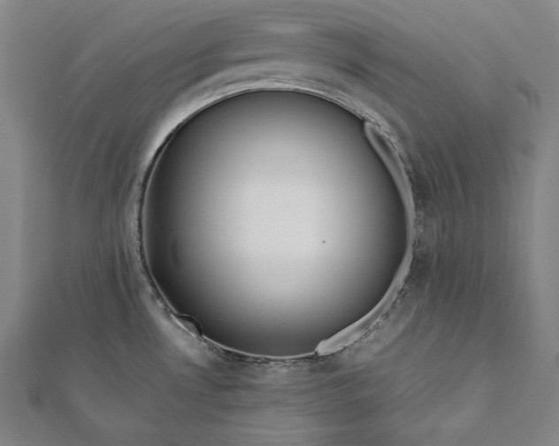 X0000112171530200908211415