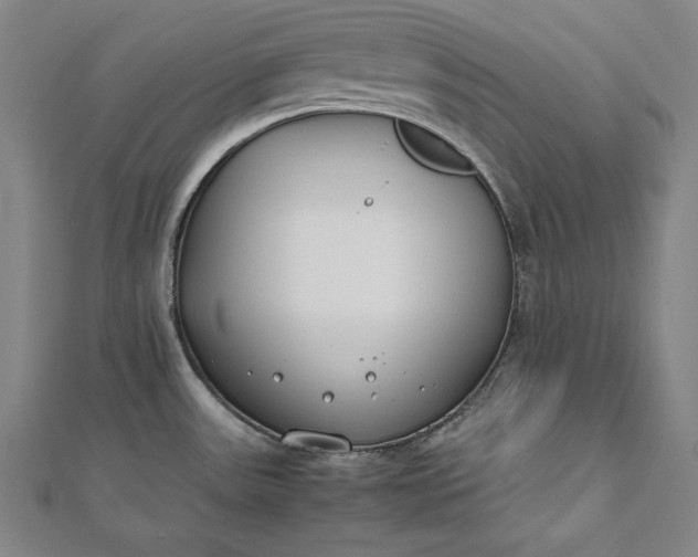 X0000112171531200908211415