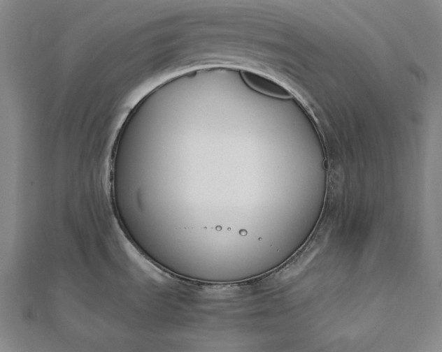 X0000112171535200908211415