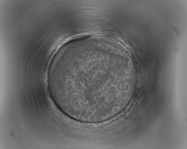 X0000112170002200908281349