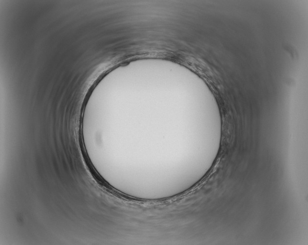 X0000112170003200908281349