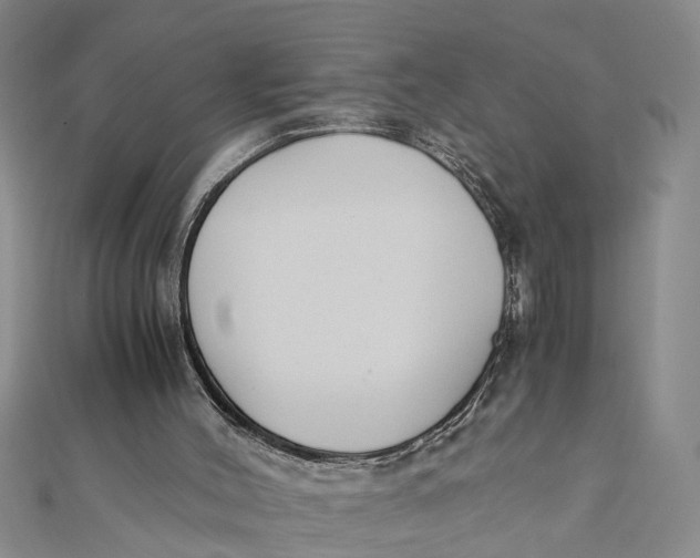 X0000112170004200908281349