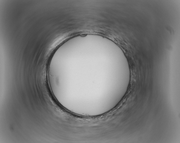 X0000112170005200908281349