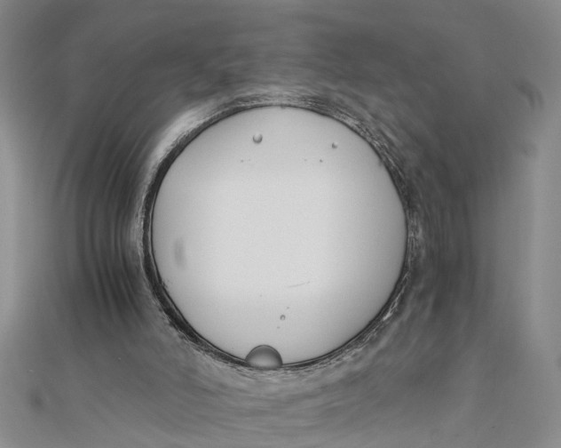 X0000112170006200908281349