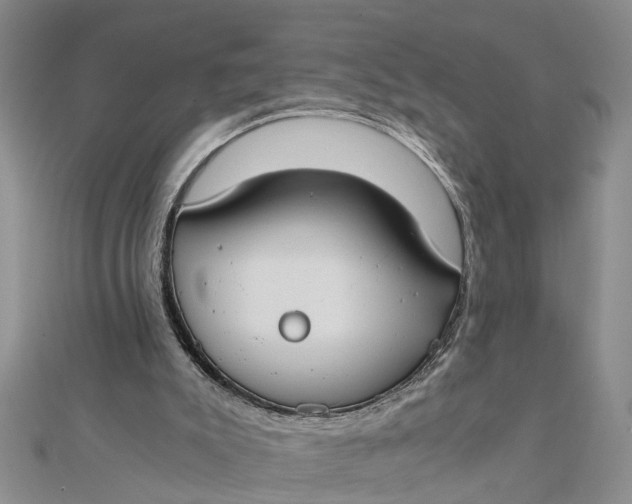 X0000112170007200908281349