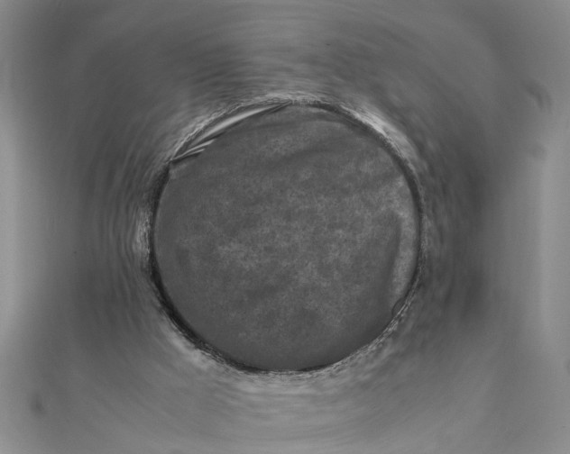 X0000112170009200908281349