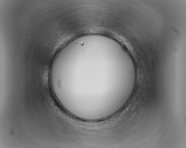 X0000112170010200908281349