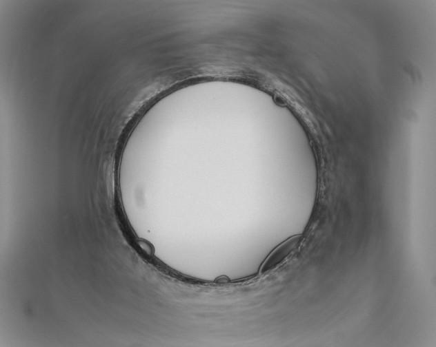 X0000112170011200908281349