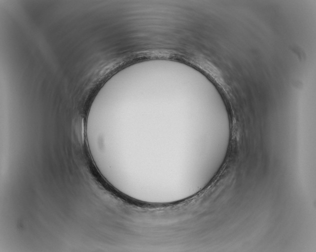 X0000112170013200908281349