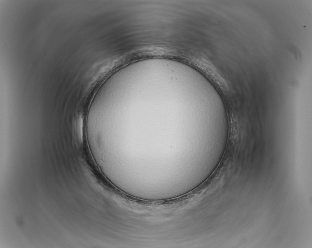 X0000112170014200908281349