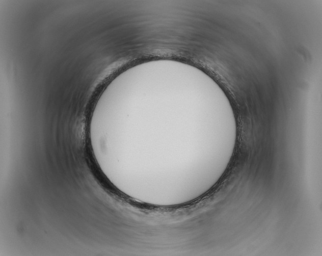 X0000112170016200908281349