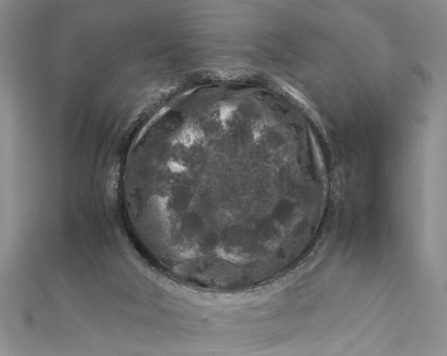 X0000112170018200908281349