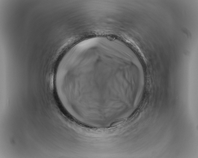 X0000112170019200908281349