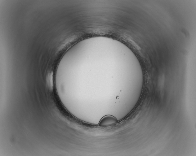 X0000112170020200908281349