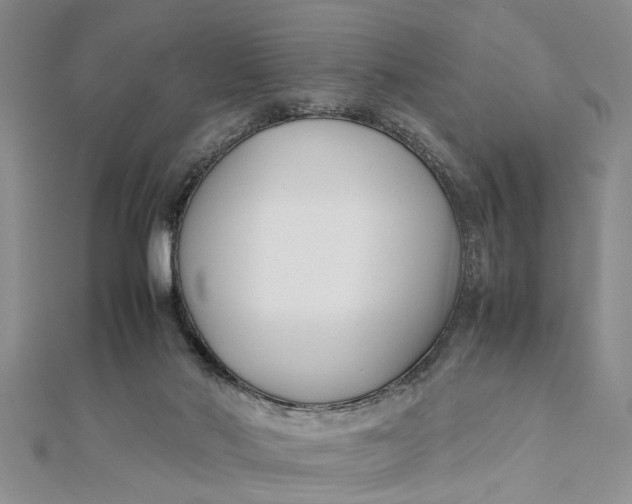 X0000112170022200908281349