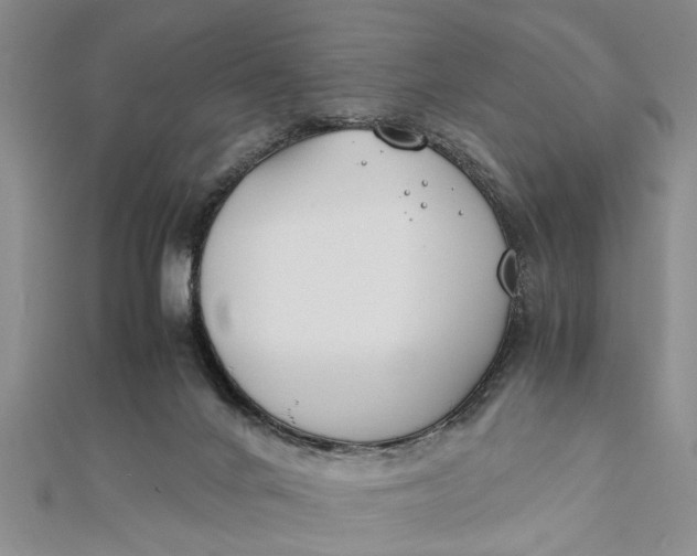 X0000112170024200908281349