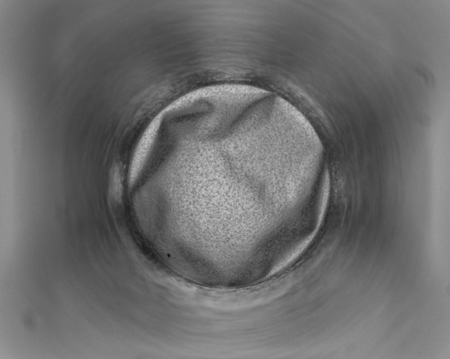 X0000112170026200908281349