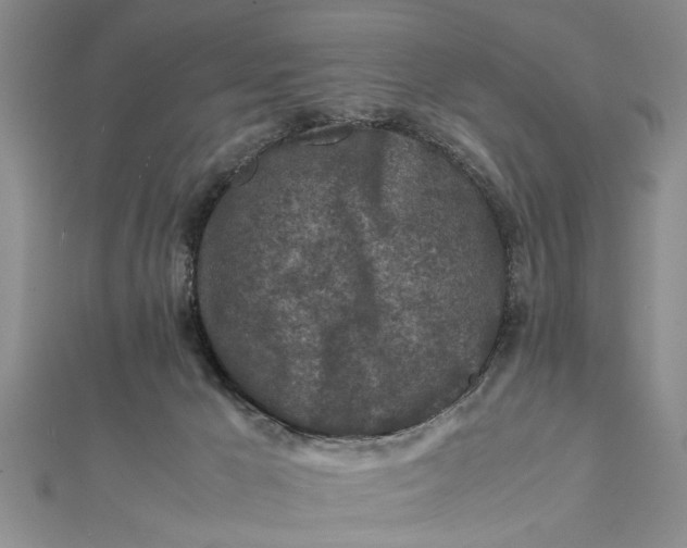 X0000112170029200908281349