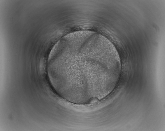 X0000112170030200908281349