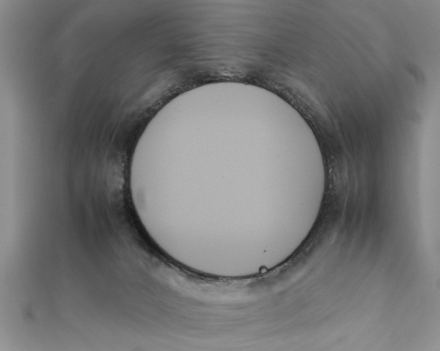 X0000112170032200908281349