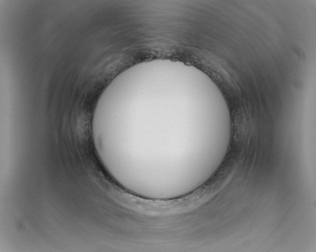 X0000112170034200908281349