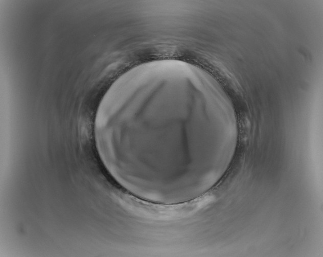 X0000112170035200908281349