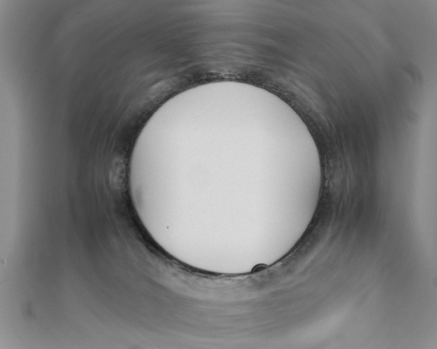 X0000112170036200908281349