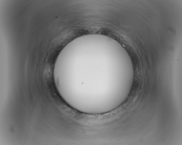 X0000112170037200908281349