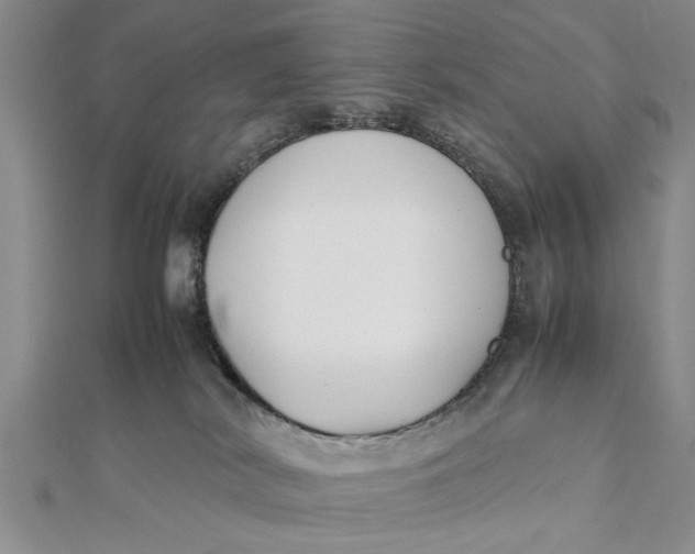 X0000112170038200908281349