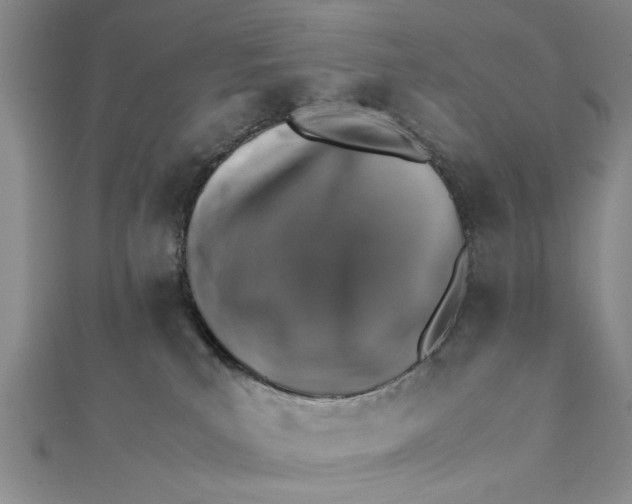 X0000112170039200908281349